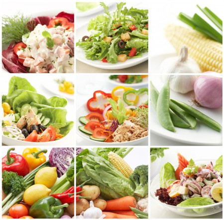 L-600 VEGETARIANO