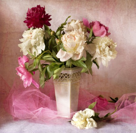 L-615 FLORES