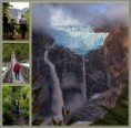 /album/octavo-xi-region/l-586-queulat-jpg/
