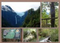 /album/quinto-xi-region/h-182-queulat-jpg/
