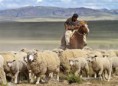 /album/quinto-xi-region/h-204-gaucho-jpg/
