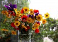/album/quinto-varios/h-227-ramo-de-flores-jpg/