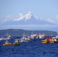 /album/octavo-chiloe/y-233-quellon-jpg/