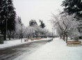 /album/quinto-xi-region/h-260-plaza-de-coyhaique-ne-jpg/